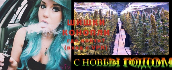 молекула духа Сатка
