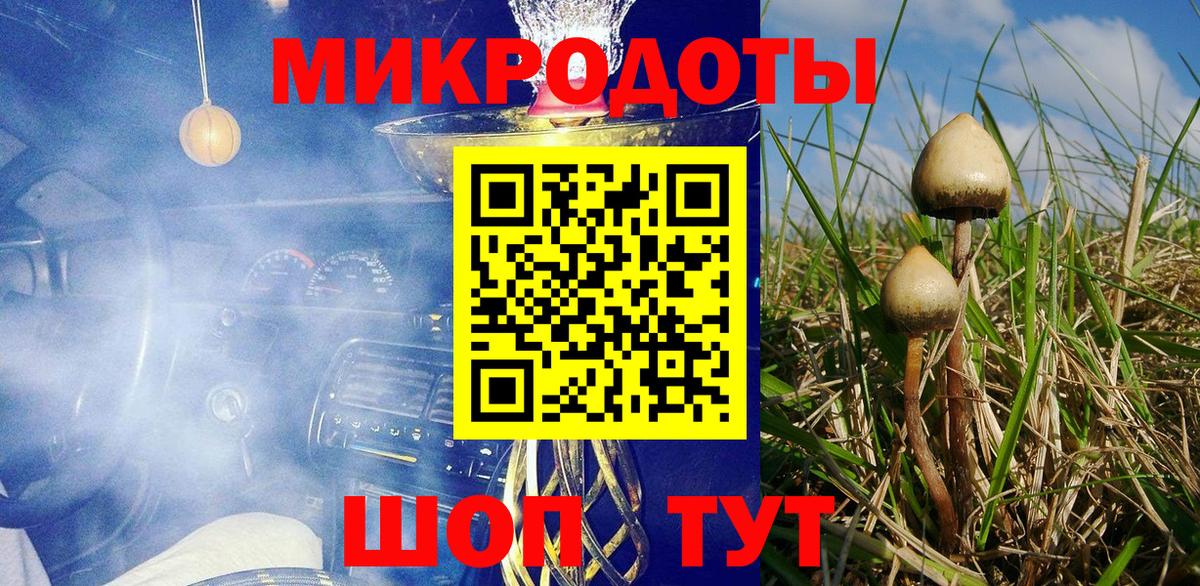 Электрогорск  Псилоцибиновые грибы Magic Shrooms  Вход с VPN 
