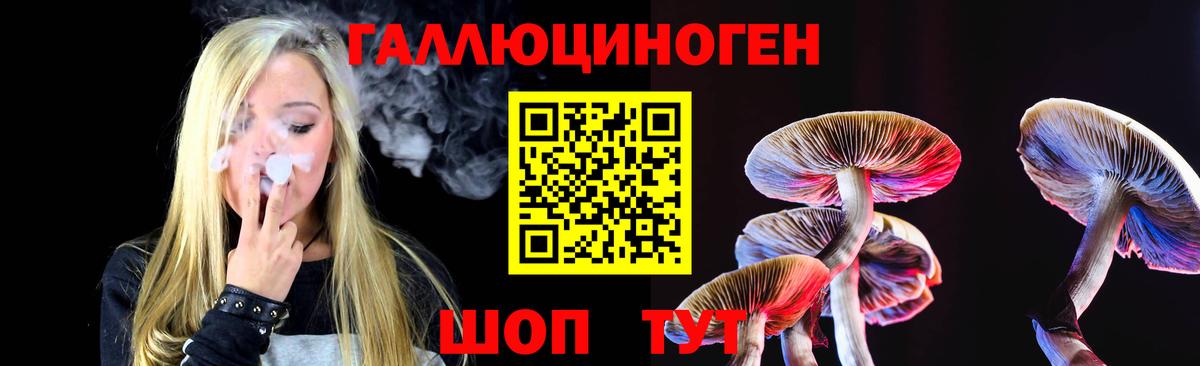 Галлюциногенные грибы Magic Shrooms Электрогорск